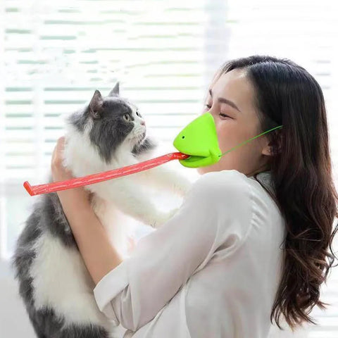Interactive Cat Toy