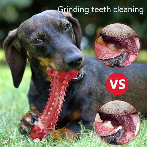 Teeth Cleaning Dog Chew Toys