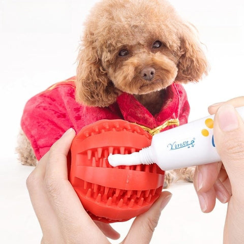 Teeth Cleaning Chew Interactive Dog Toy