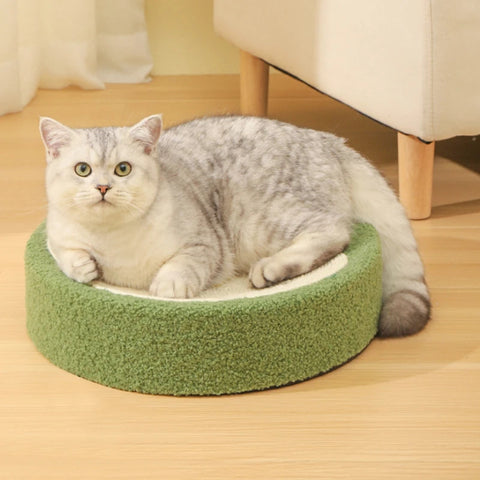 Cat Scratching Board
