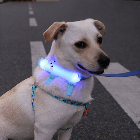 Pet Led Luminous Pendant Rechargeable