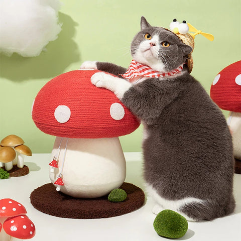 Mushroom Cat Scratcher
