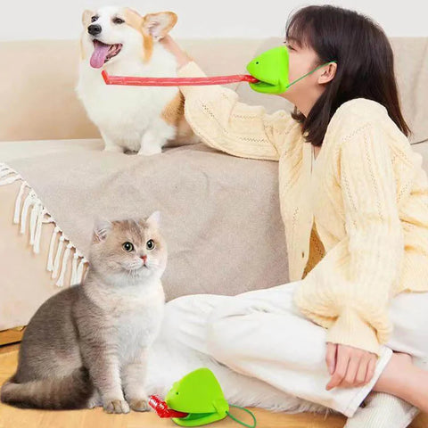 Interactive Cat Toy