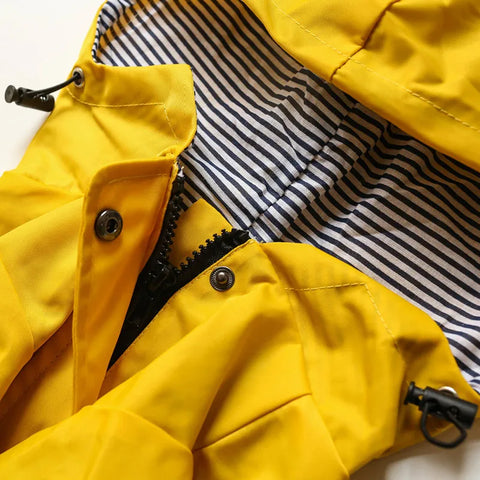 Dog Yellow Raincoat