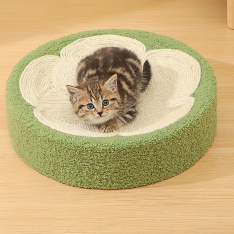 Cat Scratching Board