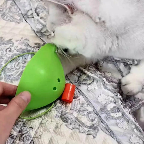 Interactive Cat Toy