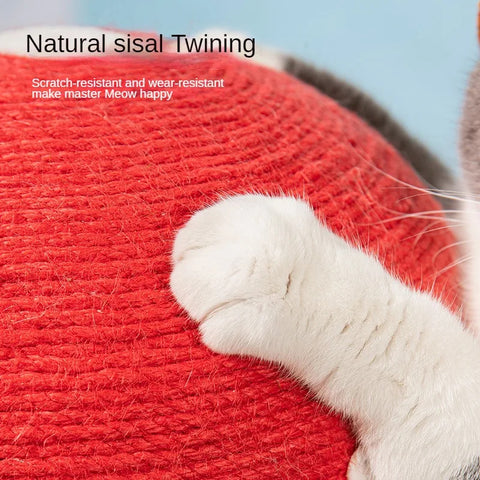 Mushroom Cat Scratcher