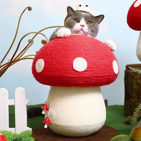 Mushroom Cat Scratcher