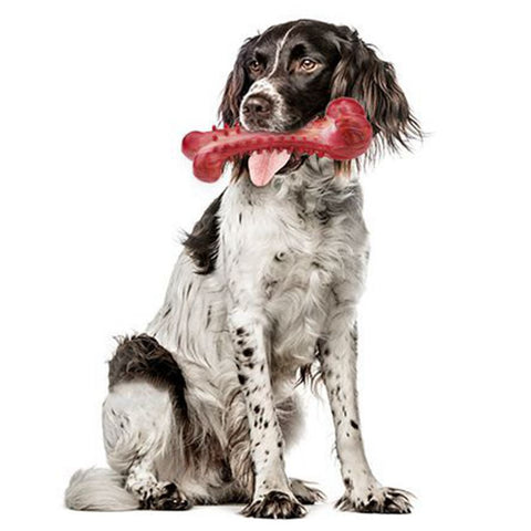 Teeth Cleaning Dog Chew Toys