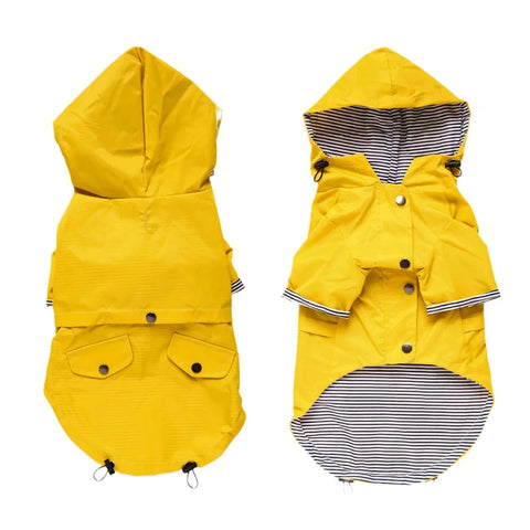 Dog Yellow Raincoat
