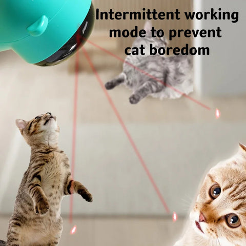 Interactive Laser Pointer Toy
