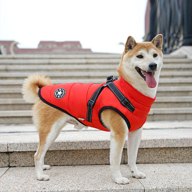 Waterproof Dog Coat With Harness