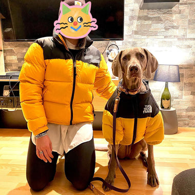 Windproof & Rainproof Pet Jacket