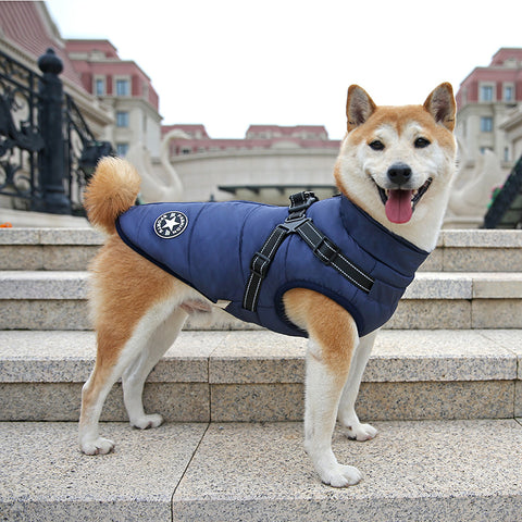 Waterproof Dog Coat With Harness