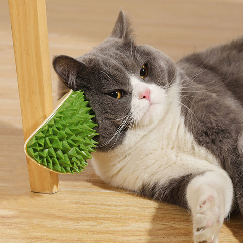Multifunctional Cat Massager Brush Scratcher Toy