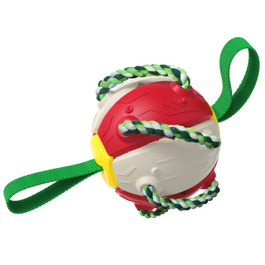 Interactive Training Frisbee Ball Dog Toys