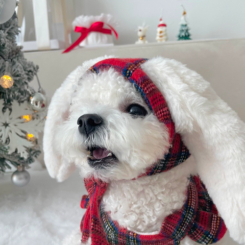 Christmas Bow Skirt + Rabbit Headgear Set Pet Clothes